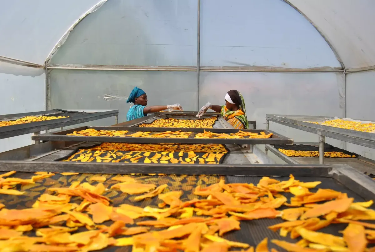 Climate change adaptation: Kenya goes local with a bottom-up approach