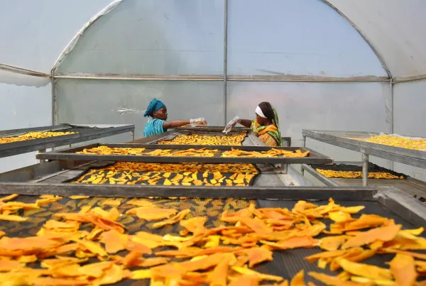 Climate change adaptation: Kenya goes local with a bottom-up approach
